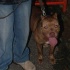 sunny_side_up_2008-057