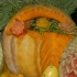 taste_t&t_2008-070