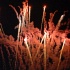 temperature_2008-134