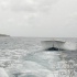jazz_cruise_2008-079