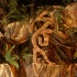 trini_posse_2008_pt1-001