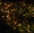 trini_posse_2008_pt1-002