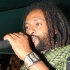 under_the_trees_2008-057
