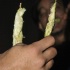 2009_new_years_eve_capitol_hill-084