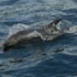 6degrees_boat_cruise_feb21-118