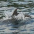 6degrees_boat_cruise_feb21-119