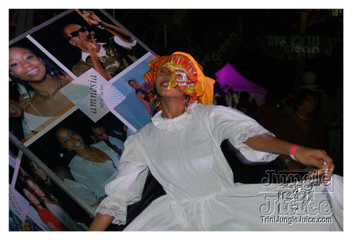 amnesia_2009-025
