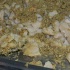 asbrydens_all_inclusive_feb14-005