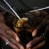 babash_fisherman_lime_mar26-049