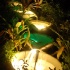 bacchanal_wed_2009-117