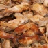 caliente_aug23-007