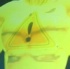 caution_2k9-043