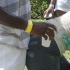 crack_of_dawn_aug1-099