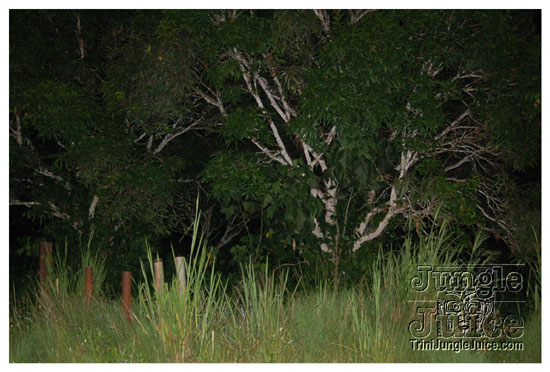 dark_vi_sept4-002