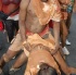dc_carnival_2009-191