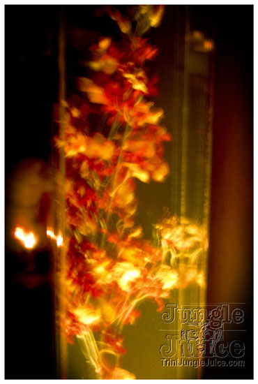 eden_may24-031