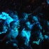 firefete_apr11-134