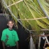 frenchmen_bazodee_apr18-049