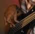 gruff_20th_anniv_parang_party_nov28-058