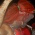 jouvert_2009-045