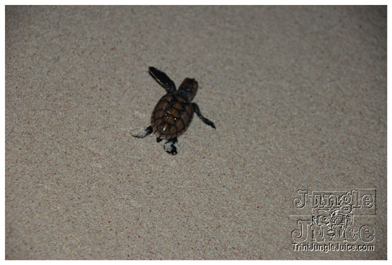 kadooment_day_2009_pt2-320