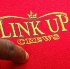 link_up_cruise_feb16-026