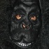 mask_oct31-083