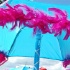 miami_broward_jr_carnival_oct4-058