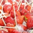 milk_july4-080