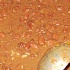 moisture_aug30-024