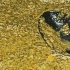 moisture_aug30-027