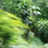 1-fern_valley-003