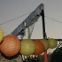 radica_july5-085