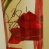 red_appropriated_apr03-013