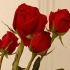 red_appropriated_apr03-065