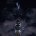 rooftop_garden_party_july12-105