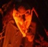 spooked_oct30-139