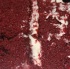 sutra_may3-145