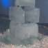 tribe_ice_jan3-044