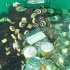uwi_all_inclusive_2009-029