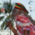 uwi_all_inclusive_2009-123