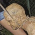 uwi_campus_carnival_2009-098