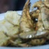 vale_bfast_party_2009-022