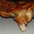 yorke_all_inc_feb1-114