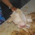 yorke_all_inc_feb1-117