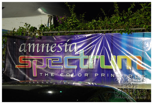 amnesia_2010-040
