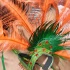 bacchanal_ja_roadmarch_2010_pt2-134