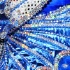 bachanal_mas_bandlaunch_2010-021