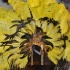 bachanal_mas_bandlaunch_2010-052