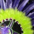bachanal_mas_bandlaunch_2010-061